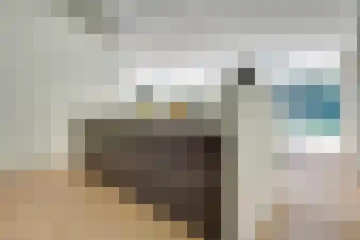 Vossenlaan 33 Bosch en Duin thumbnail 19