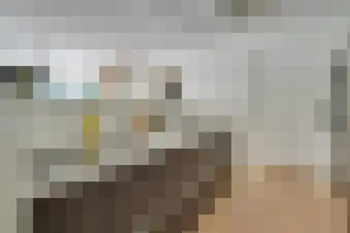 Vossenlaan 33 Bosch en Duin thumbnail 20
