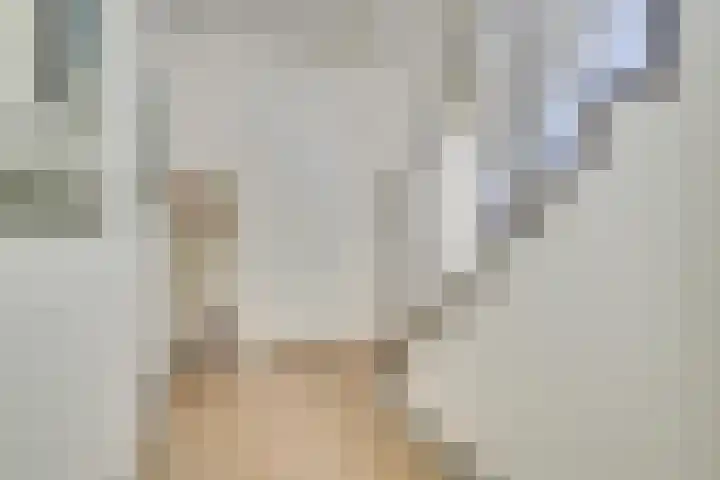 Vossenlaan 33 Bosch en Duin thumbnail 33