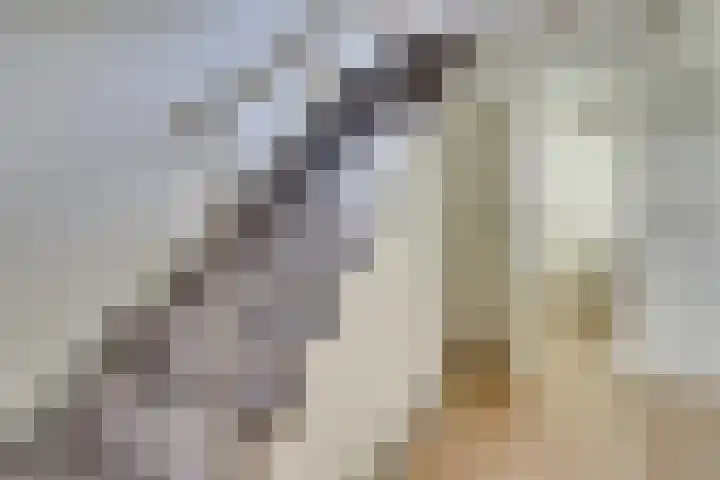 Vossenlaan 33 Bosch en Duin thumbnail 34