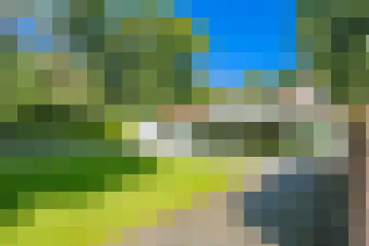 Vossenlaan 33 Bosch en Duin thumbnail 4