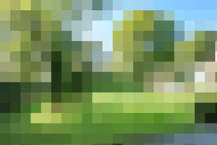 Vossenlaan 33 Bosch en Duin thumbnail 44