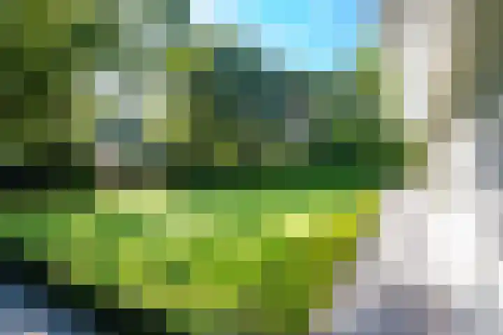 Vossenlaan 33 Bosch en Duin thumbnail 45