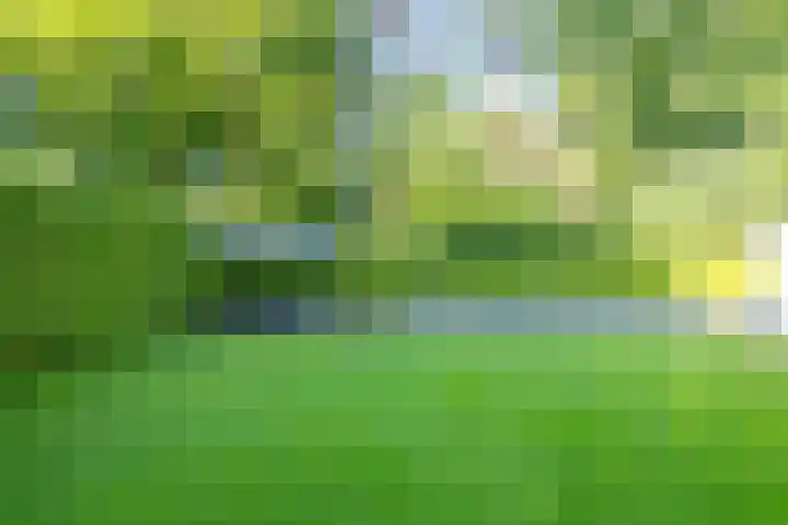Vossenlaan 33 Bosch en Duin thumbnail 48