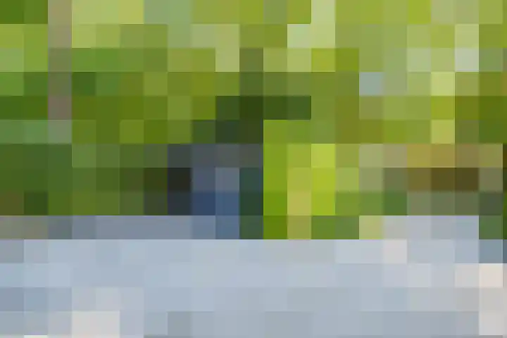 Vossenlaan 33 Bosch en Duin thumbnail 50