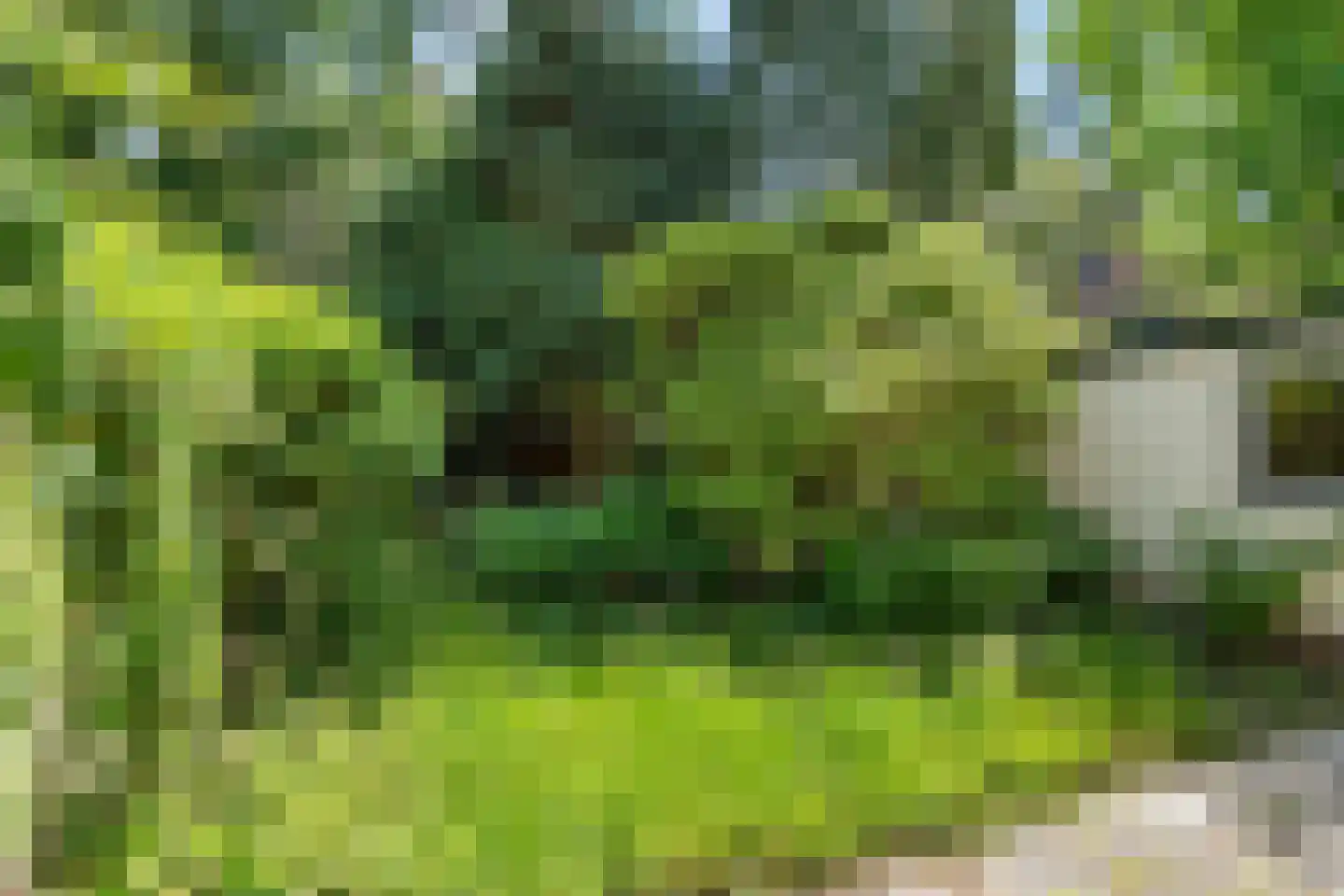 Vossenlaan 35 Maarn thumbnail 30