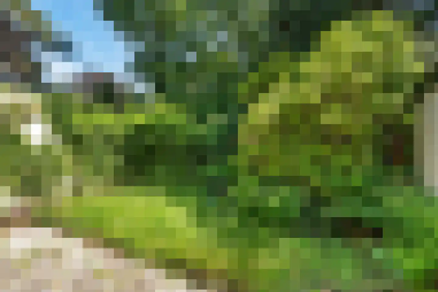 Vossenlaan 35 Maarn thumbnail 31