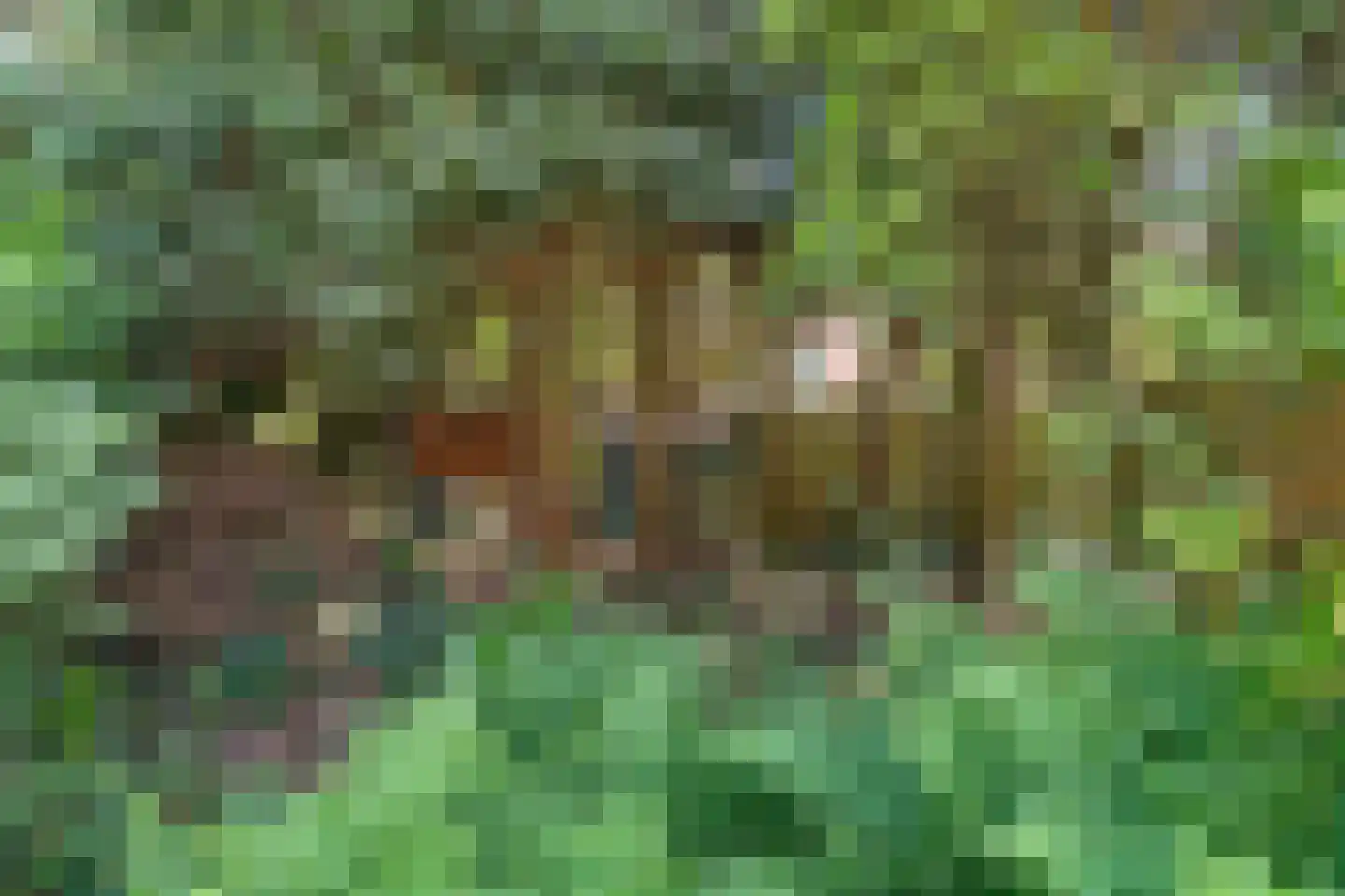 Vossenlaan 35 Maarn thumbnail 32