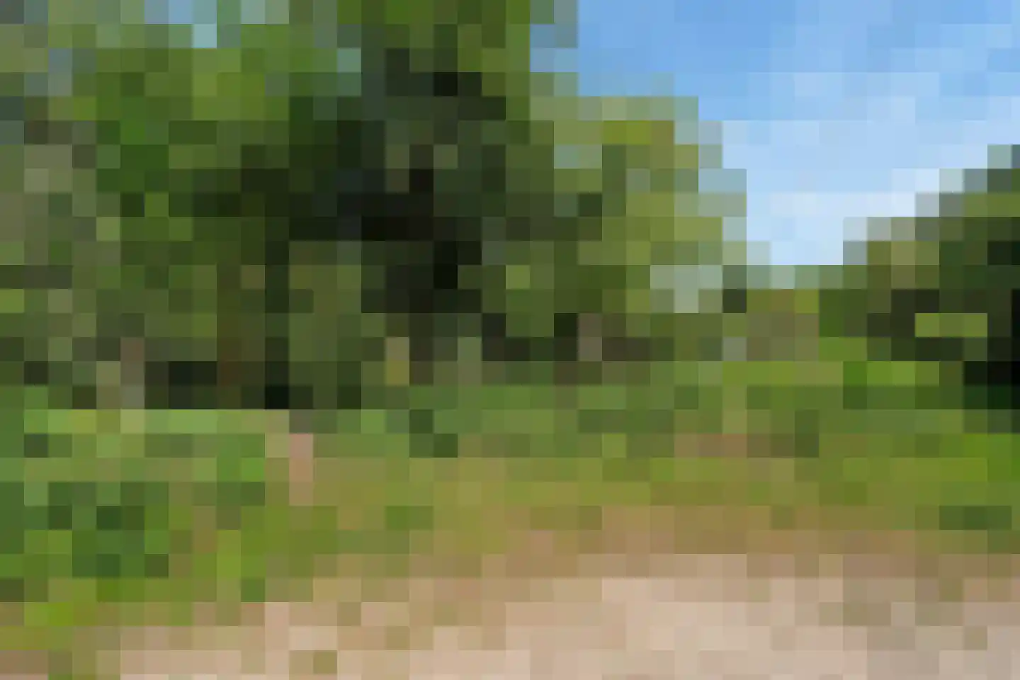 Vossenlaan 35 Maarn thumbnail 37