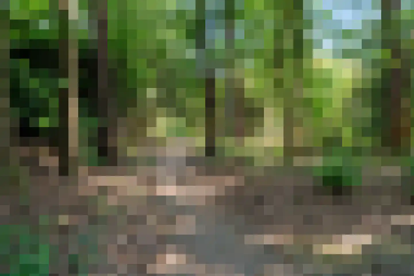 Vossenlaan 35 Maarn thumbnail 4