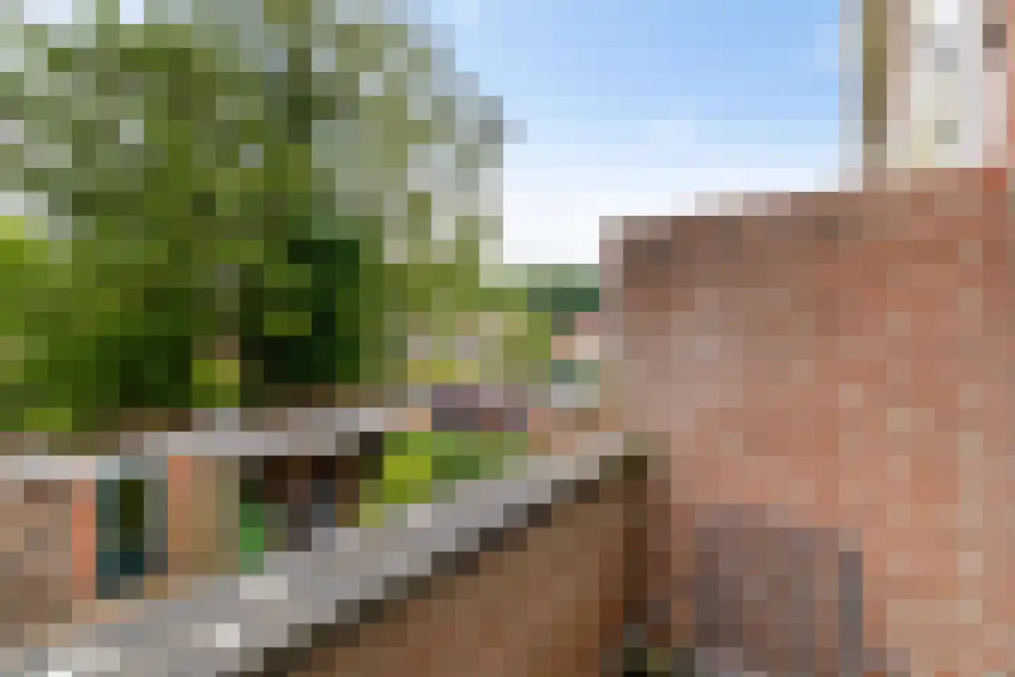 Vossenlaan 36 Haren Gn thumbnail 18