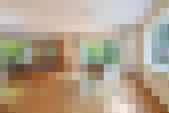 Vossenlaan 6 Wageningen thumbnail 15