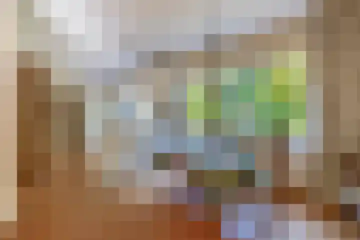 Vossenlaan 6 Wageningen thumbnail 16