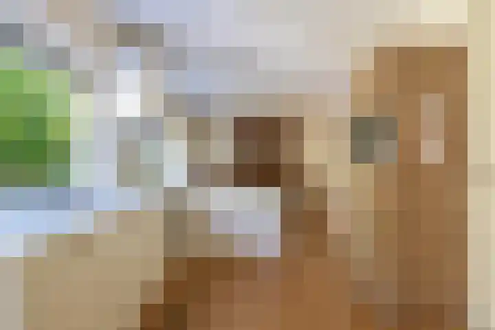 Vossenlaan 6 Wageningen thumbnail 20