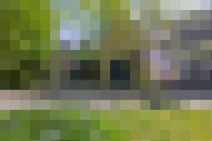 Vossenlaan 6 Wageningen thumbnail 36