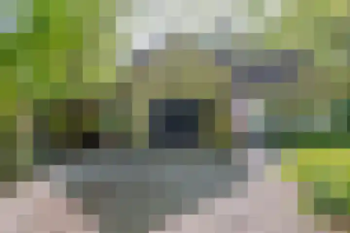 Vossenlaan 6 Wageningen thumbnail 37