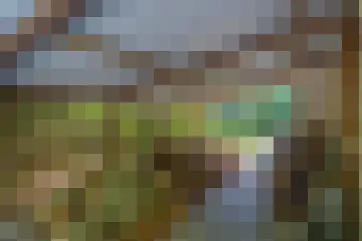 Vossenlaan 6 Wageningen thumbnail 40