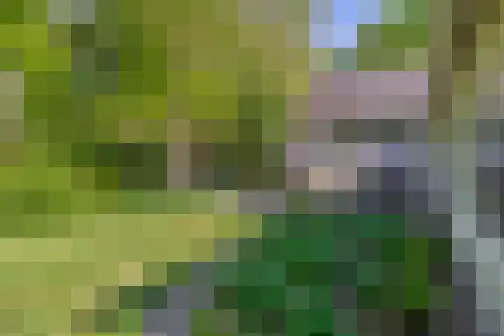 Vossenlaan 6 Wageningen thumbnail 41