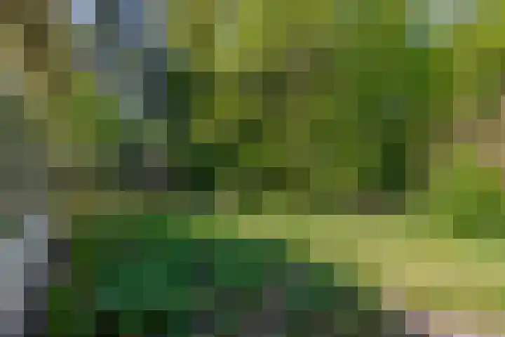 Vossenlaan 6 Wageningen thumbnail 42