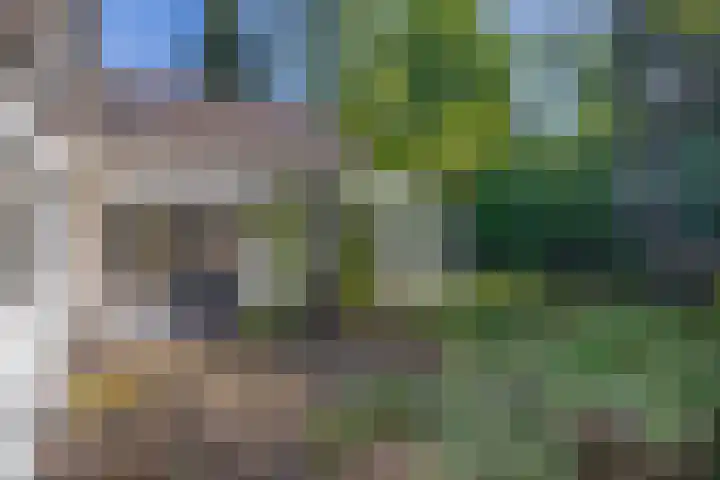 Vossenlaan 6 Wageningen thumbnail 43