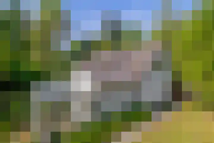 Vossenlaan 6 Wageningen thumbnail 45