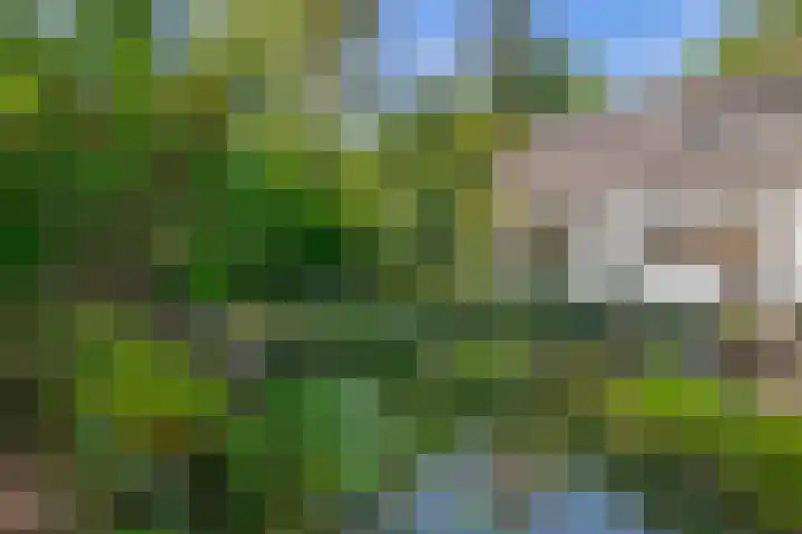 Vossenlaan 6 Wageningen thumbnail 47