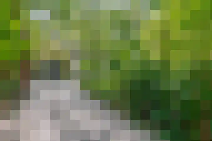 Vossenlaan 6 Wageningen thumbnail 5