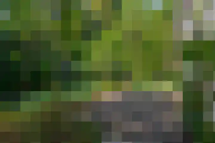 Vossenlaan 6 Wageningen thumbnail 51