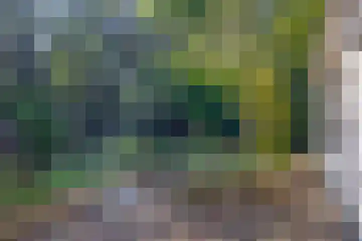 Vossenlaan 6 Wageningen thumbnail 52