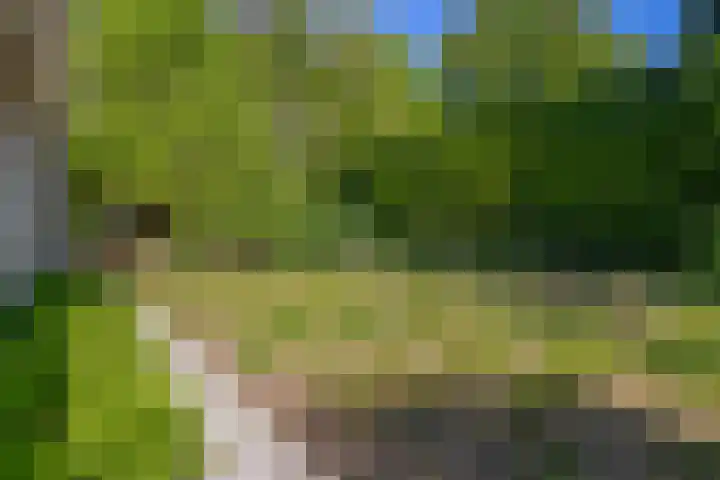 Vossenlaan 6 Wageningen thumbnail 53