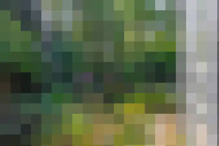 Vossenlaan 6 Wageningen thumbnail 54