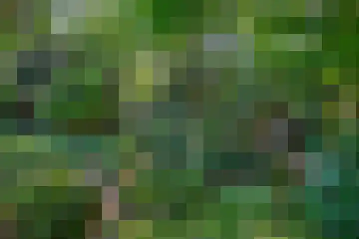 Vossenlaan 6 Wageningen thumbnail 55