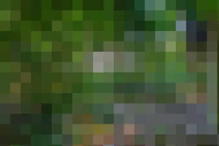 Vossenlaan 6 Wageningen thumbnail 57