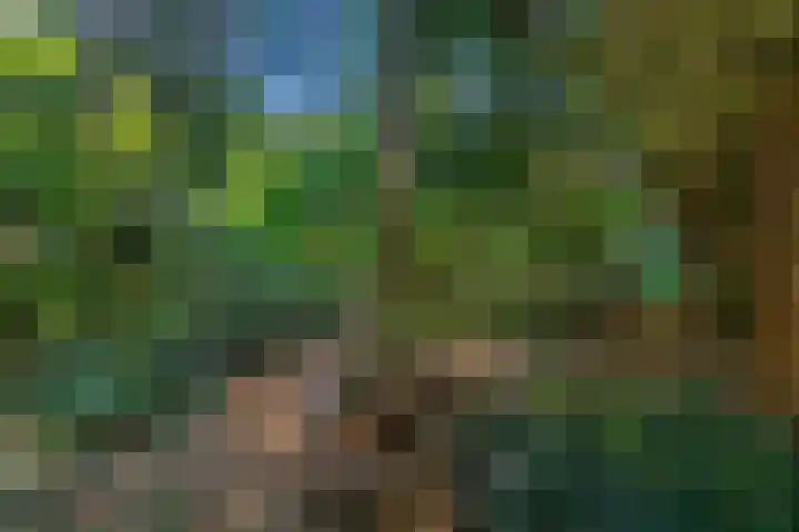 Vossenlaan 6 Wageningen thumbnail 59