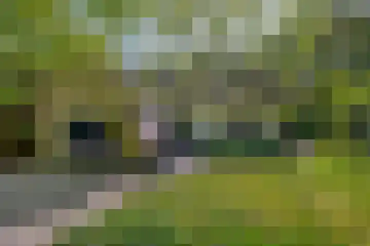 Vossenlaan 6 Wageningen thumbnail 6
