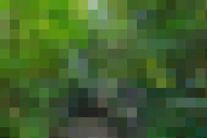 Vossenlaan 6 Wageningen thumbnail 60