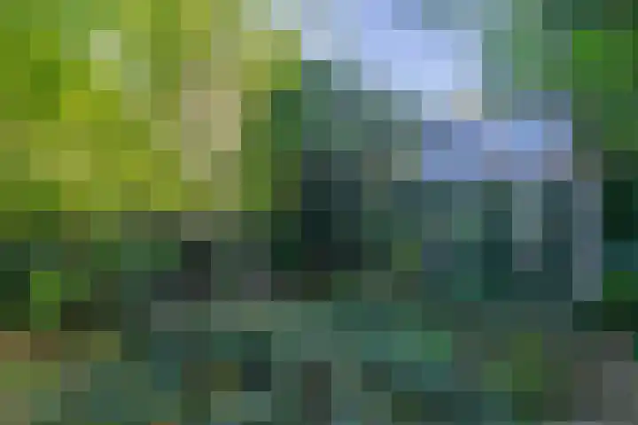 Vossenlaan 6 Wageningen thumbnail 61
