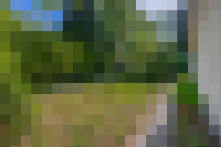 Vossenlaan 6 Wageningen thumbnail 62