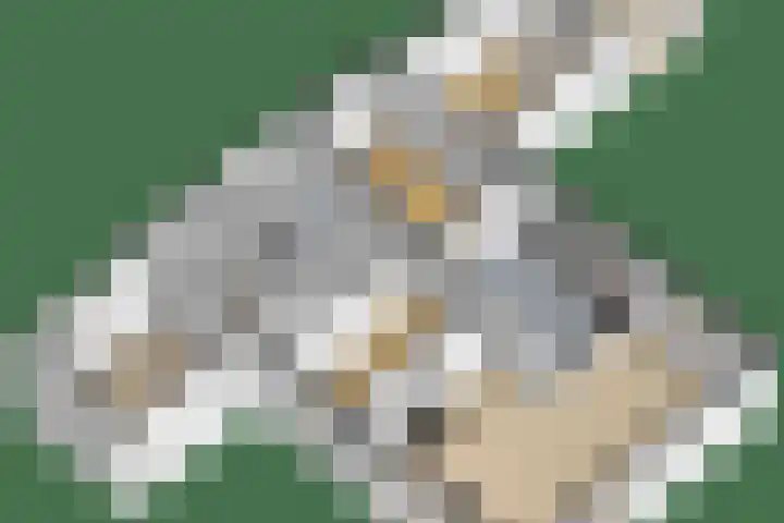 Vossenlaan 6 Wageningen thumbnail 64