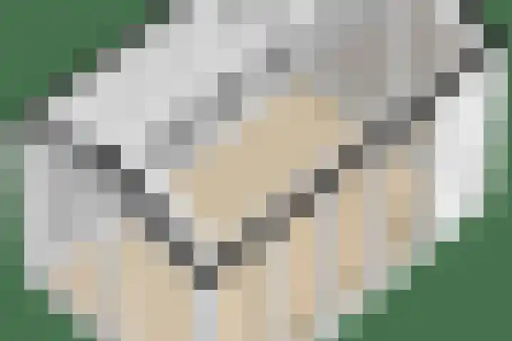 Vossenlaan 6 Wageningen thumbnail 72
