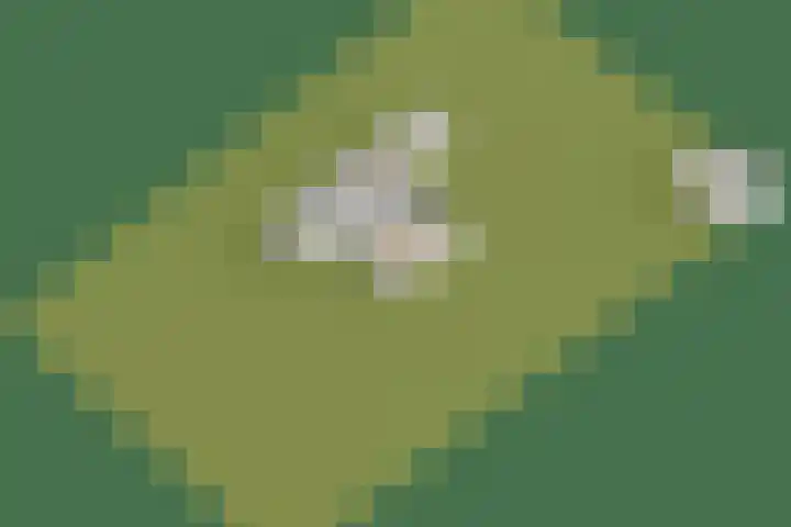 Vossenlaan 6 Wageningen thumbnail 74