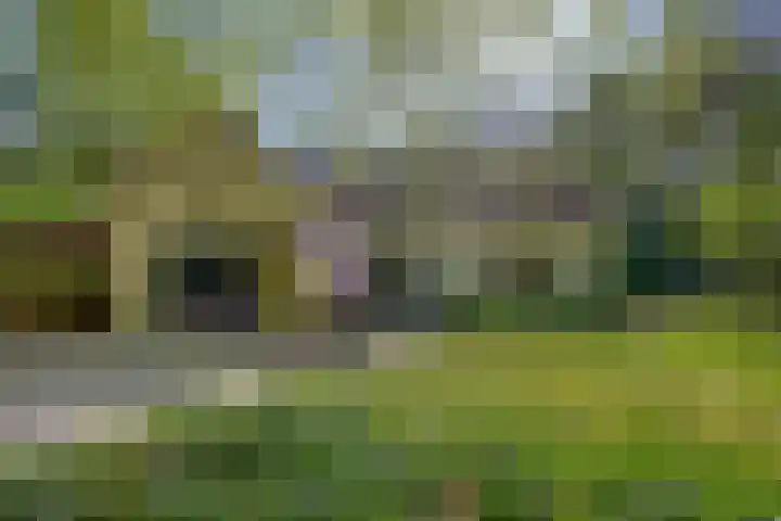 Vossenlaan 6 Wageningen thumbnail 75