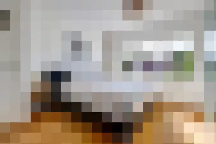 Vossenlaan 67 Nijmegen thumbnail 28