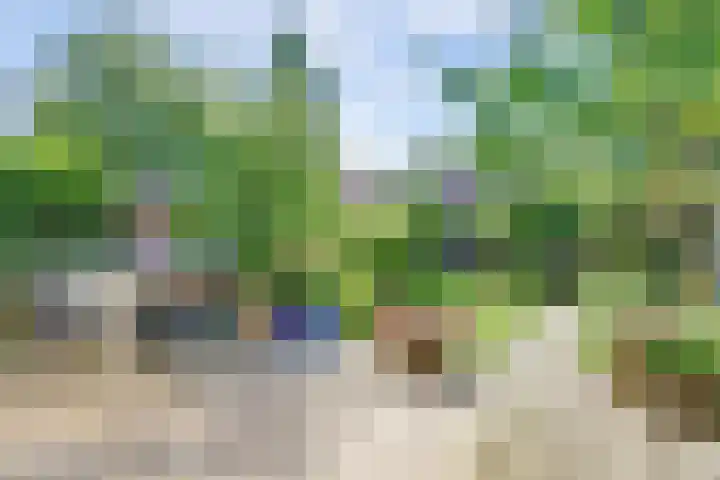 Vossenlaan 67 Nijmegen thumbnail 43