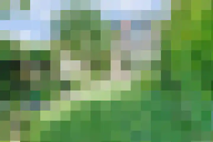 Vossenlaan 67 Nijmegen thumbnail 47
