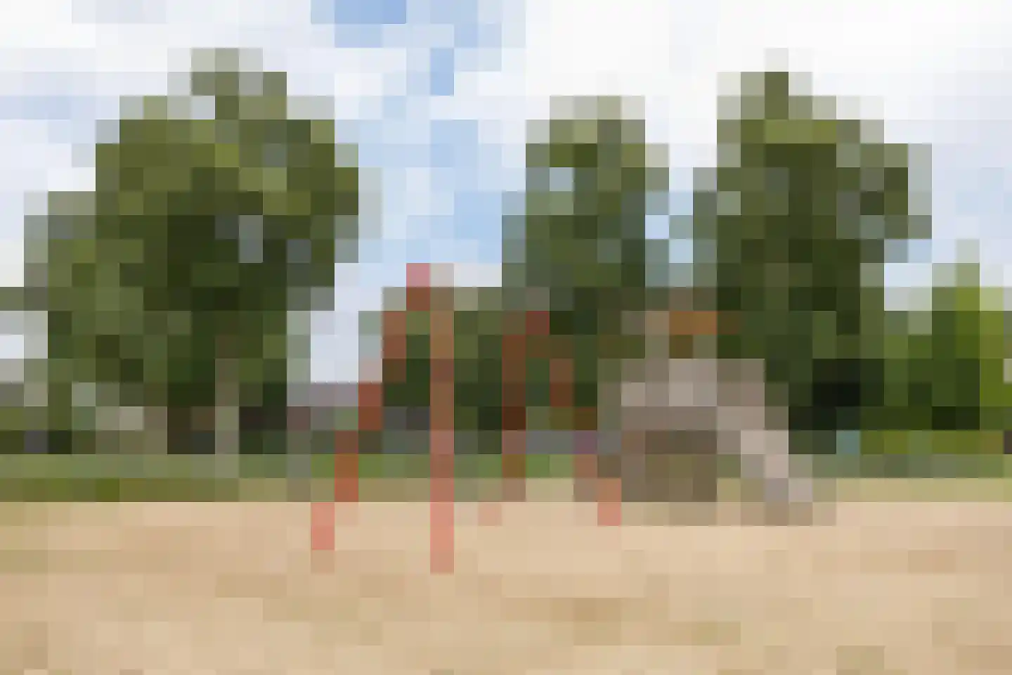 Vossenlaan 74 Nijmegen thumbnail 26