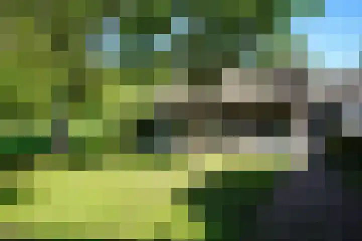 Vossenlaan 9 Vreeland thumbnail 31