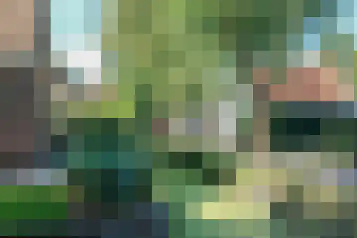 Vossenlaan 9 Vreeland thumbnail 36