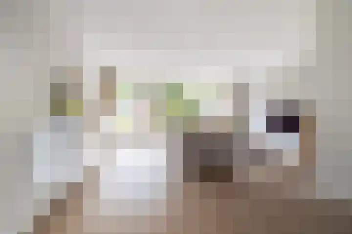 Vossenlaar 42 Bavel thumbnail 11