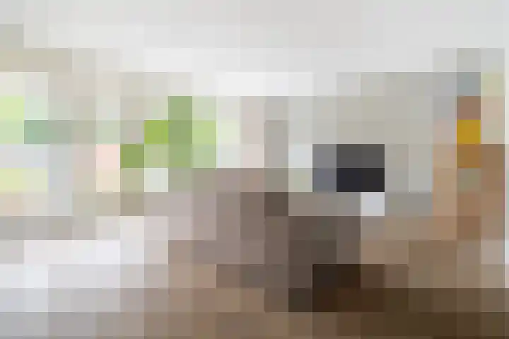 Vossenlaar 42 Bavel thumbnail 12